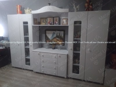 Стенка Ассоль для Хомик Наталии, город Житомир